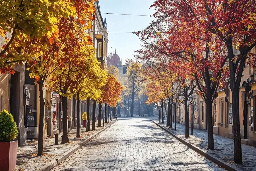 Rynek nieruchomości w Poznaniu – ceny, trendy i perspektywy w 2025 roku